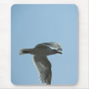 Search for seagulls mousepads Flying