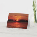 Search for african sunset cards Tree