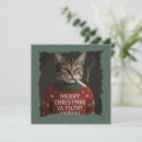 Search for cat meme cards Snow