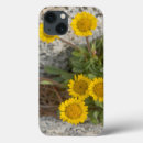Search for enchanted forest cases Colourful