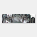 Search for white tiger bumper stickers Tigers
