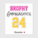 Search for school sports stickers Team colours