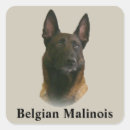 Search for malinois stickers Animal