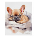 Recherche de 0 signes Chiot