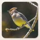 Recherche de original dessous de verres Oiseau