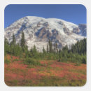Search for mt rainier stickers Mount rainier national park