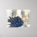 Search for root canvas prints Winter