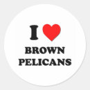 Search for brown pelican stickers Bird