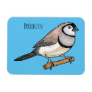 Recherche de deux oiseaux magnets Pour tous