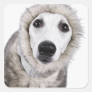 Search for low temperature stickers Vertical