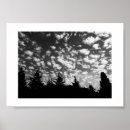 Search for cloudy posters Sunny