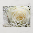 Search for pretty bride postcards Flowers