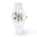 Recherche de magnolia montres Botanique