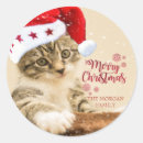 Search for cat in winter stickers Adorable