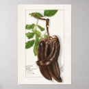 Search for l a posters Vintage