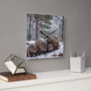 Search for frozen clocks Wildlife