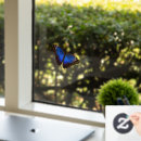 Search for blue window Butterfly