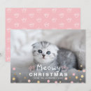 Search for pawed christmas cards Cat