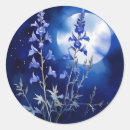Search for nocturnal stickers Night