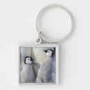 Search for penguin photo keychains Animal
