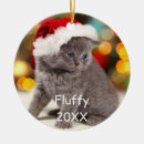 Search for pet ornaments Gift