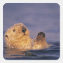 Recherche de profondeur de champ autocollants Faune