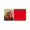 Search for marans Poultry