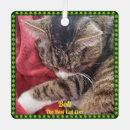 Recherche de sayings ornaments Pour tous