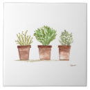 Recherche de romarin carreaux Herbes