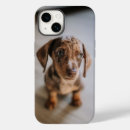 Search for dachshund puppy iphone cases Dog
