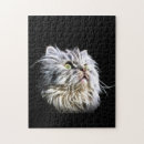 Recherche de perse puzzles Chaton