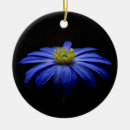 Search for daisy flower ornaments Flowers