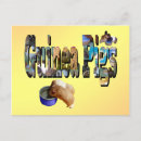 Search for guineas postcards Guinea pig