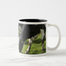Search for dairy cow mugs Standing