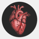 Search for doctor stickers Nurse