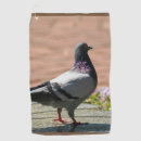 Recherche de golfe photographie Oiseau