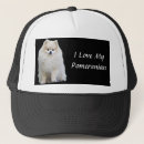 Search for pomeranian hats Puppy