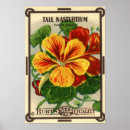 Search for nasturtium art Floral