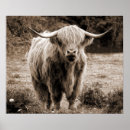 Recherche de russe art Brun