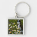 Search for cathy keychains Jaynes gallery