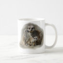 Recherche de merkats tasses Mammifère