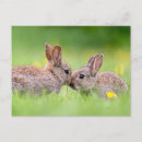 Recherche de bisous cartes postales Amour