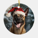 Search for belgian malinois ornaments Puppy