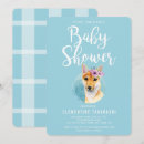 Recherche de shiba invitations Chien