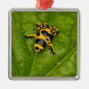 Recherche de dange ornements Nature