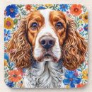 Recherche de springer spaniel Canin
