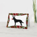 Search for australian cattle dog christmas cards Dogs