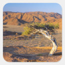 Search for barren stickers Colour image
