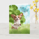 Search for cavalier cards Dogs
