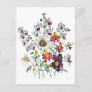 Recherche de fleurs de trompette cartes postales Rose